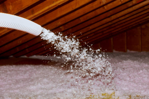Best Insulation Removal  in Alta Sierra, CA