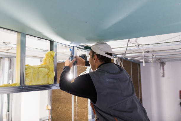 Best Professional Insulation Contractor  in Alta Sierra, CA