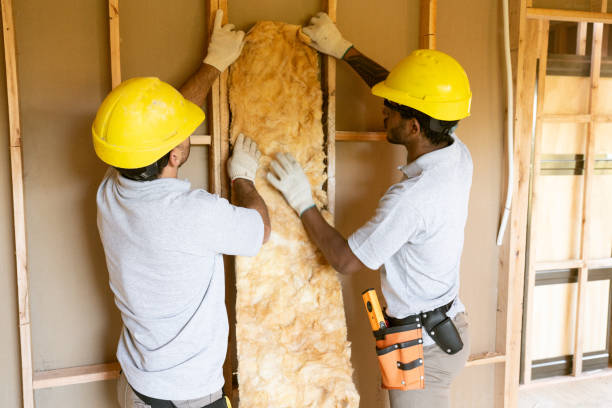 Best Insulation Contractor Near Me  in Alta Sierra, CA