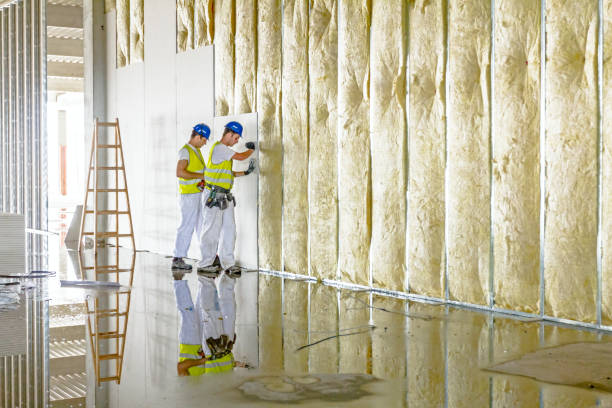 Best Attic Insulation Installation  in Alta Sierra, CA